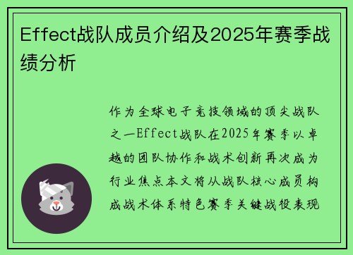 Effect战队成员介绍及2025年赛季战绩分析